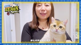线上看 柯璇和TA的生活 (2021) 带字幕 中文配音