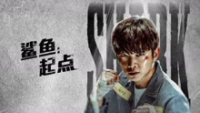 线上看 鲨鱼：起点 (2021) 带字幕 中文配音