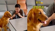 [图]到底谁是狗？狗子护食凶人，男子拿着鸡腿在狗子跟前疯狂护食