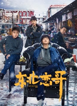 The Northeastern Bro Legendas em português Dublagem em chinês