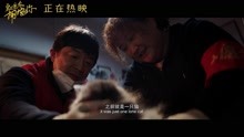 《穿过寒冬拥抱你》黄渤贾玲救猫片段 从一只猫到一个家