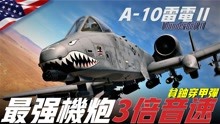 [图]A-10，美军优秀对地打击战机，GAU-8机炮，一场战役摧毁3000战车