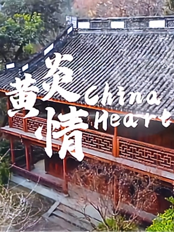 两岸青年音乐MV