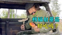 [图]冒险闯入切尔诺贝利核电站辐射区，还吃上了有辐射的蘑菇！纪录片