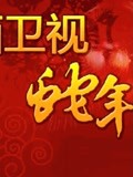 陕西卫视2013春晚