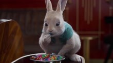 比得兔2：小兔子偷吃甜糖果，好吃到跺脚脚，太可爱了