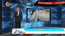 浙江:女子街头被抢 外卖员见义勇为