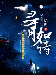 寻月如诗