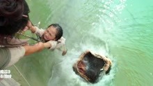 西游降魔篇：女儿掉进水里，母亲救女心切，结果直接被河妖吞了