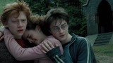 哈利·波特3：赫敏抱着罗恩，哈利抱着赫敏，三角关系最稳定