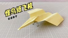 一架怪鸟纸飞机！