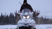 零度以下的生活第6季 第14集 狩猎季节
