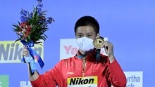 杨健十米台卫冕 中国跳水梦之队包揽世锦赛13金