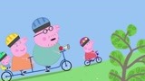 小猪佩奇：一家人骑自行车出游，佩奇想单独骑一辆，累的满脸通红