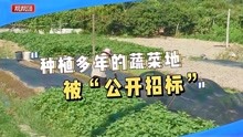 [图]种植多年的蔬菜地突然被“公开招标”，种植户懵了，村委会回应