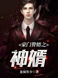 豪门赘婿之神婿