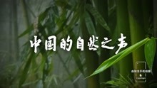 精彩片段-3