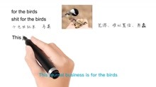 [图]英语思维解密，为什么for the birds指毫无意义，轻松学英语