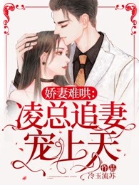 娇妻难哄：凌总追妻宠上天