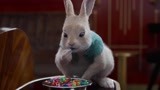 比得兔2：小兔子偷吃甜糖果，好吃到跺脚脚，太搞笑了