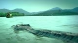 《百万巨鳄》：这个鳄鱼一看最少有8米吧，这也太长了，吓坏了