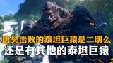 斗罗大陆：唐昊击败过泰坦巨猿？还是有其他的二明吗？