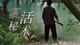 《大鱼3汉江鱼怪》外乡游子重回家乡，踏上寻找真相之旅！