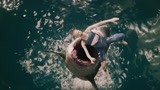 鲨口逃生：凶猛大鲨鱼来袭，美女还在海里游泳，瞬间血溅当场
