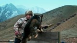 《血狼犬》：蓝波从小就被训练，一声令下可以翻越所有障碍物！