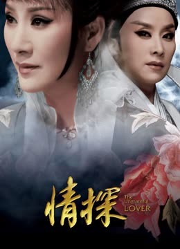 情探 （2017）