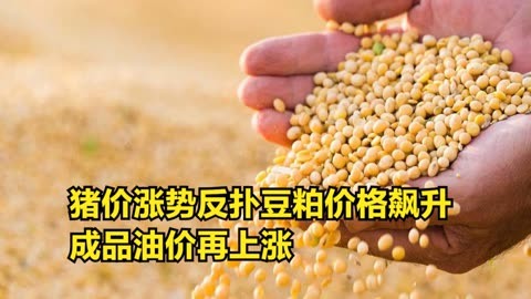 猪价涨势反扑!豆粕价格飙升,成品油价再上涨,4月19日