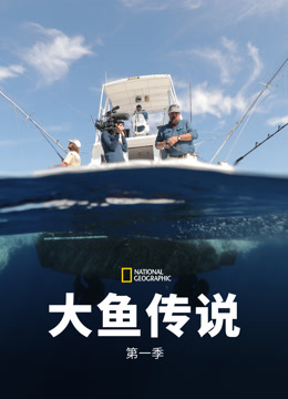 大鱼传说第一季