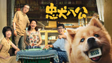 線上看 忠犬八公 (2023) 帶字幕 中文配音，國語版