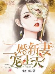 二婚新妻宠上天