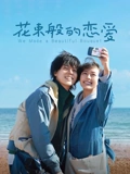 花束般的恋爱普通话}