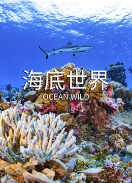海底世界}