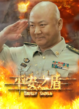 平安之盾