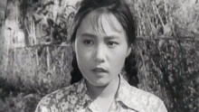 線上看 夏天的故事 (1955) 帶字幕 中文配音，國語版