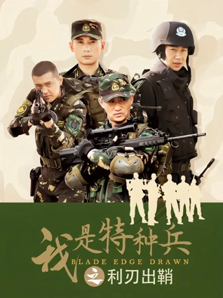 我是特种兵之利刃出鞘DVD