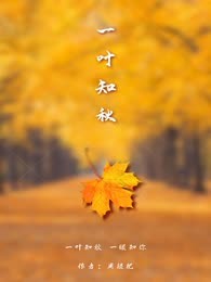 一叶知秋