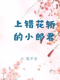 上错花轿的小郎君