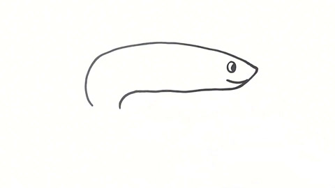 海鳗绘画图片