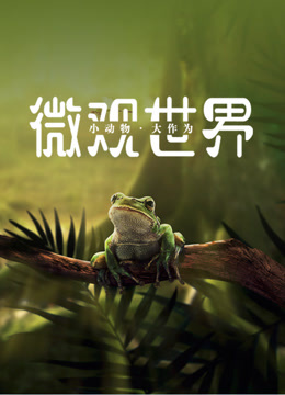 小小探险家：微观世界1之小动物大作为