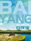 白洋淀