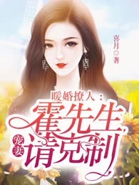 暖婚撩人：霍先生，宠妻请克制