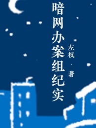暗网办案组纪实