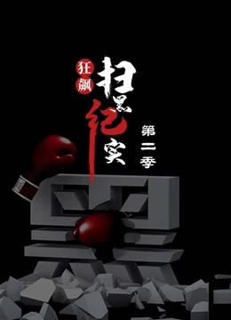 狂飙—扫黑纪实第二季}
