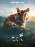 亚洲 中文版