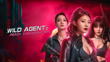 Watch the latest Wild Agent 2: Peach Assassination (2024) online with English subtitle for free English Subtitle