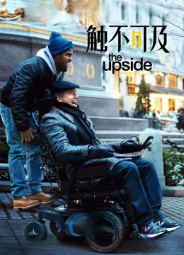 触不可及（美版）